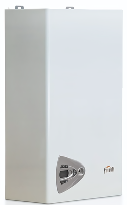 Настенный газовый котел Ferroli Vitabel F24