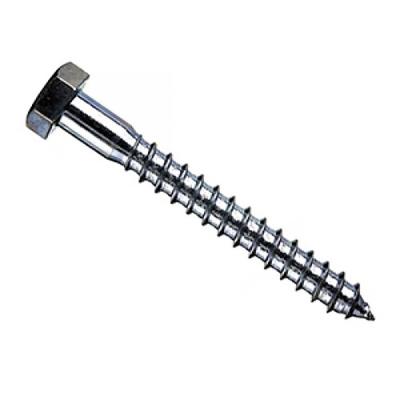 Шуруп с ш\гр. головкой (D10) 6*80